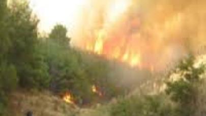 Siyəzəndə güclü YANĞIN